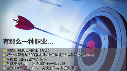 pp實(shí)施顧問(wèn)