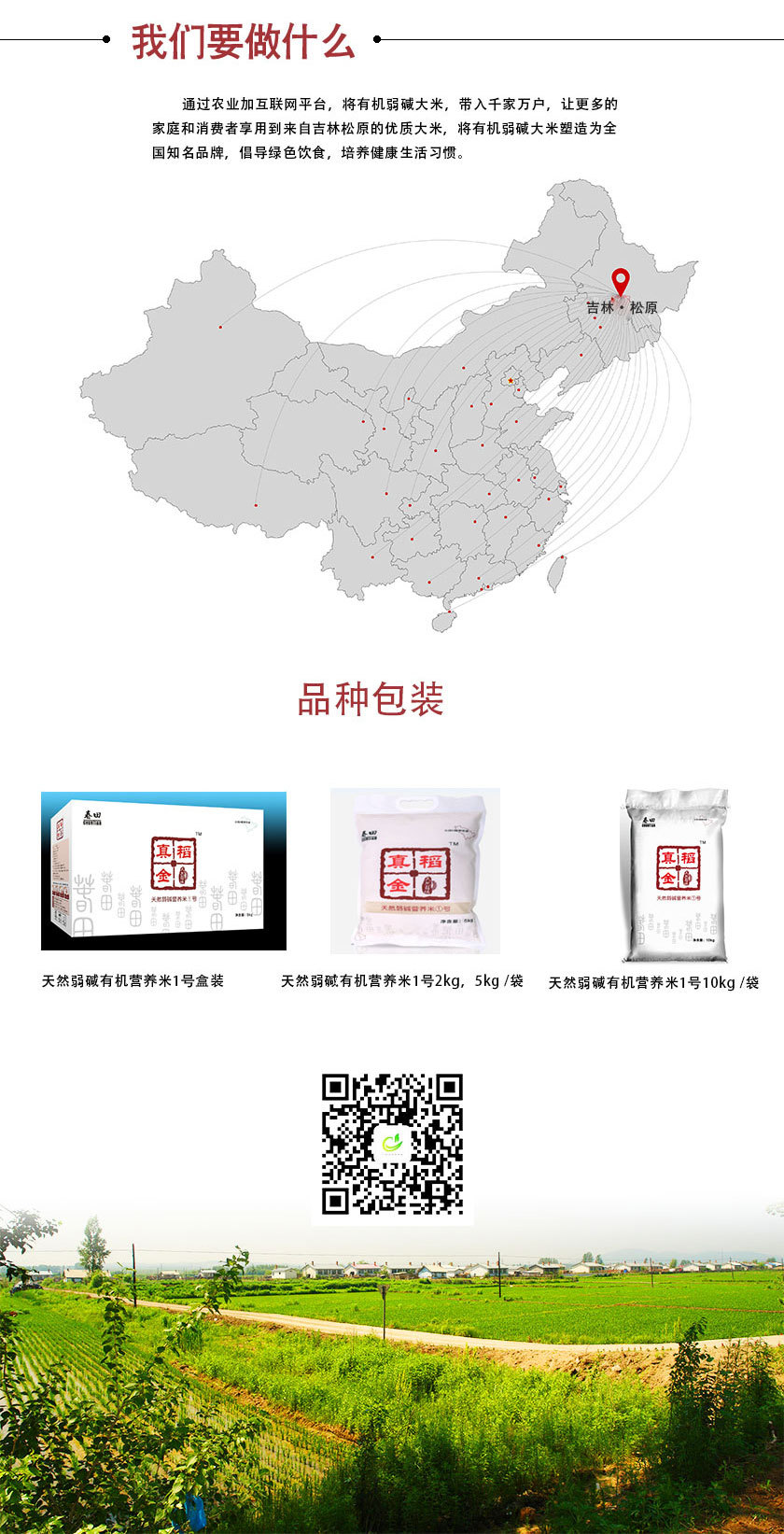 創(chuàng)意蜂蜜精品包裝 蜂蜜禮盒包裝批發(fā)