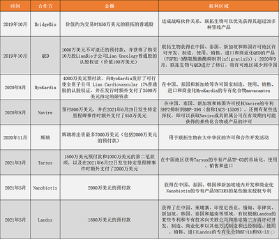 華麗包裝 招股書