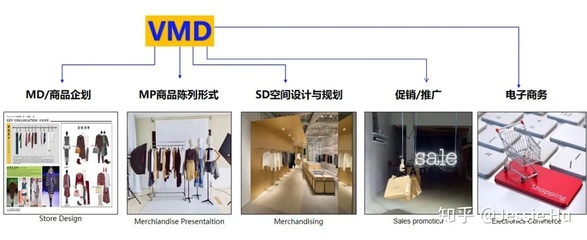 vmd vp pp ip