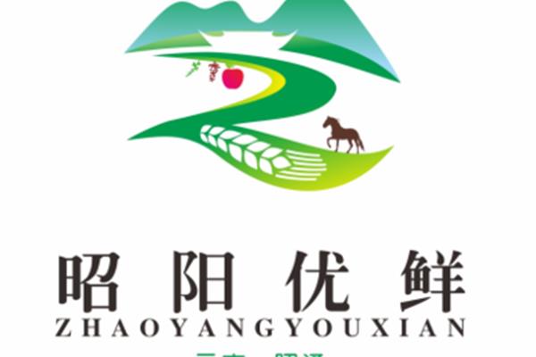 昭陽(yáng)區(qū)廣告設(shè)計(jì)業(yè)務(wù)